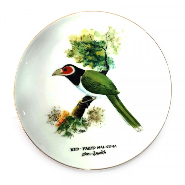 Hand Painted Wall Plaques – Red Faced Malkoha - Noritake Hand Painted Wall Plaques – Red Faced Malkoha - Noritake