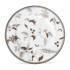 Islay Platinum Accent Plate - Noritake 